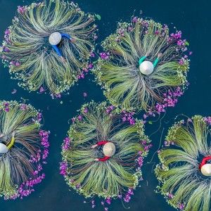 Meet your Posher, Jeremiah